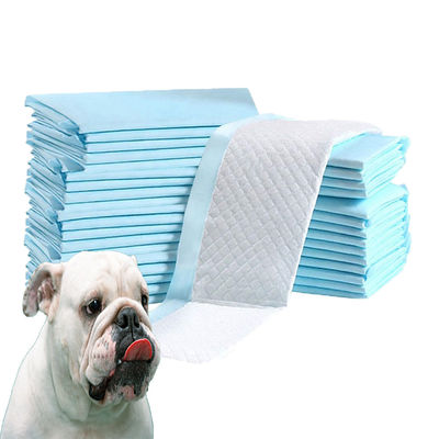 Αποθεματισμένα στυλ Pet Pee Εκπαιδευτικά Pads εξατομικευμένα απορριπτέα Pads για σκύλους και γάτες