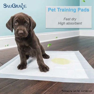 SNUGRACE σκύλος Pee Pad για ταχεία εκπαίδευση μουνί 600X350mm 600X450mm 600X600mm 900X600mm