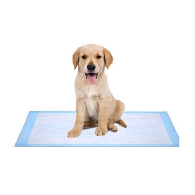 SAP Sandia ή Sumitomo Cotton Disposable Pet Pee Pads για διανομή