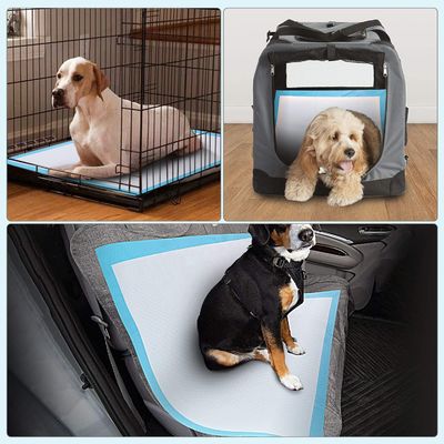 SAP Sandia ή Sumitomo Cotton Disposable Pet Pee Pads για διανομή