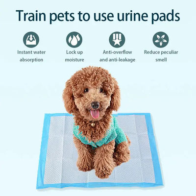 Πλασμός από φλούδα SAP Μη υφασμένο ύφασμα Tissue PE Waterproof Pet Mat Diaper for Puppy Training