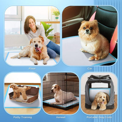Πλασμός από φλούδα SAP Μη υφασμένο ύφασμα Tissue PE Waterproof Pet Mat Diaper for Puppy Training