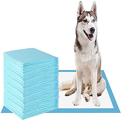 60*45/60*60/60*90cm Αποσμητικό SAP Pet Pee Pad για την εκπαίδευση στην ούρα της ουλίας S M L XL XXL