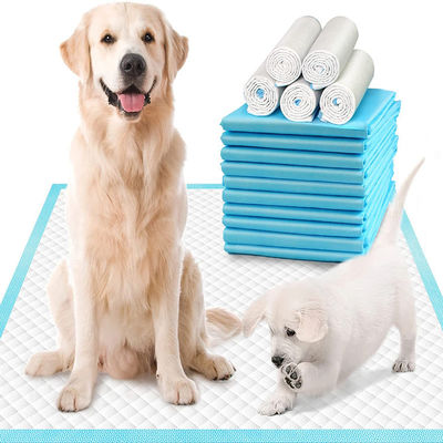 60*45/60*60/60*90cm Αποσμητικό SAP Pet Pee Pad για την εκπαίδευση στην ούρα της ουλίας S M L XL XXL