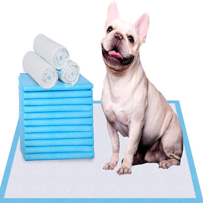 60*45/60*60/60*90cm Αποσμητικό SAP Pet Pee Pad για την εκπαίδευση στην ούρα της ουλίας S M L XL XXL