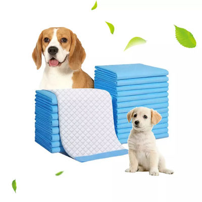 6 στρώσεις απορροφητικό σκυλί ούρα Pad Pee 60 * 60cm Pet Pad για σκύλους και γάτες Amazon Hot Item