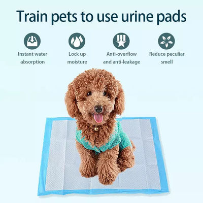 60*60 Wee Wee Dog Wee Pad 5 στρώσεις Απορροφητικό Πίε Πάν για την Απορρόφηση Ούρων