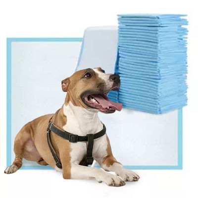 45x60cm Pet Pee Pad 5 στρώσεις Απορροφητικό σκυλί και κουτάβι Εκπαιδευτικό Pad Κατάλληλο για όλα τα κατοικίδια ζώα