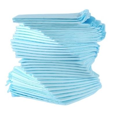 600X350mm Αδιάβροχη Παιδική Μακέτα για σκυλιά για εκπαίδευση ούρων
