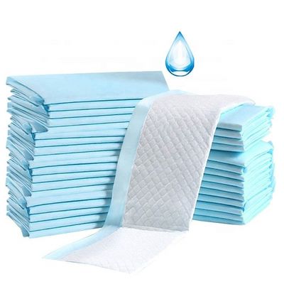 Αποθεματισμένα στυλ Pet Pee Εκπαιδευτικά Pads εξατομικευμένα απορριπτέα Pads για σκύλους και γάτες