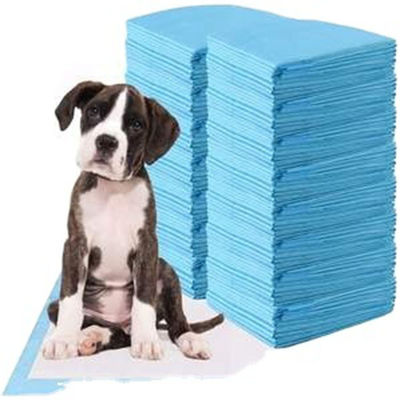 Ξαναχρησιμοποιήσιμη ακράτεια L XL Pee Pad Pad Εκπαιδευτικό Pad για κουτάβια κατοικίδιων ζώων Εκπαιδευτικό Pad Pee