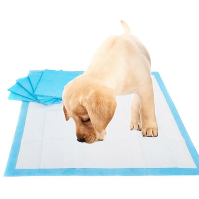 Ξαναχρησιμοποιήσιμη ακράτεια L XL Pee Pad Pad Εκπαιδευτικό Pad για κουτάβια κατοικίδιων ζώων Εκπαιδευτικό Pad Pee