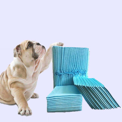 Ξαναχρησιμοποιήσιμη ακράτεια L XL Pee Pad Pad Εκπαιδευτικό Pad για κουτάβια κατοικίδιων ζώων Εκπαιδευτικό Pad Pee