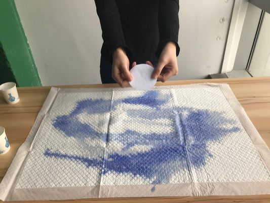 Ιατρικό Νοσοκομείο Απορρίπτονται Νοσηλευτική Underpad Δελτίο αξιοπρέπειας για τους ασθενείς που βρίσκονται στο κρεβάτι